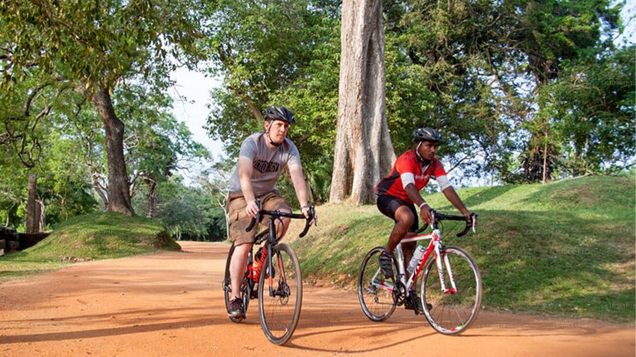 Cycling Tour from Hatton
