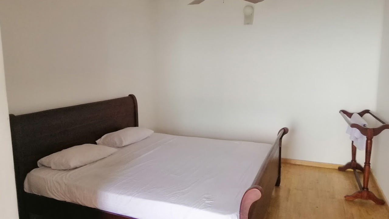 Taprospa Palm Leaves, Jaffna