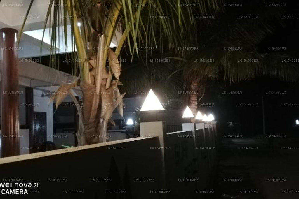 Surf Reef Dive Beach Palace, Trincomalee