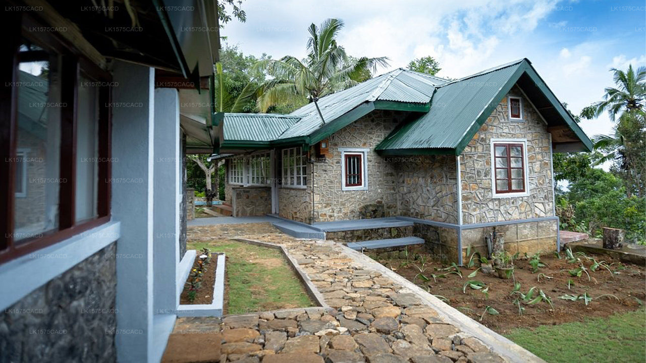 Kally Cave Eco Lodge, Haputale