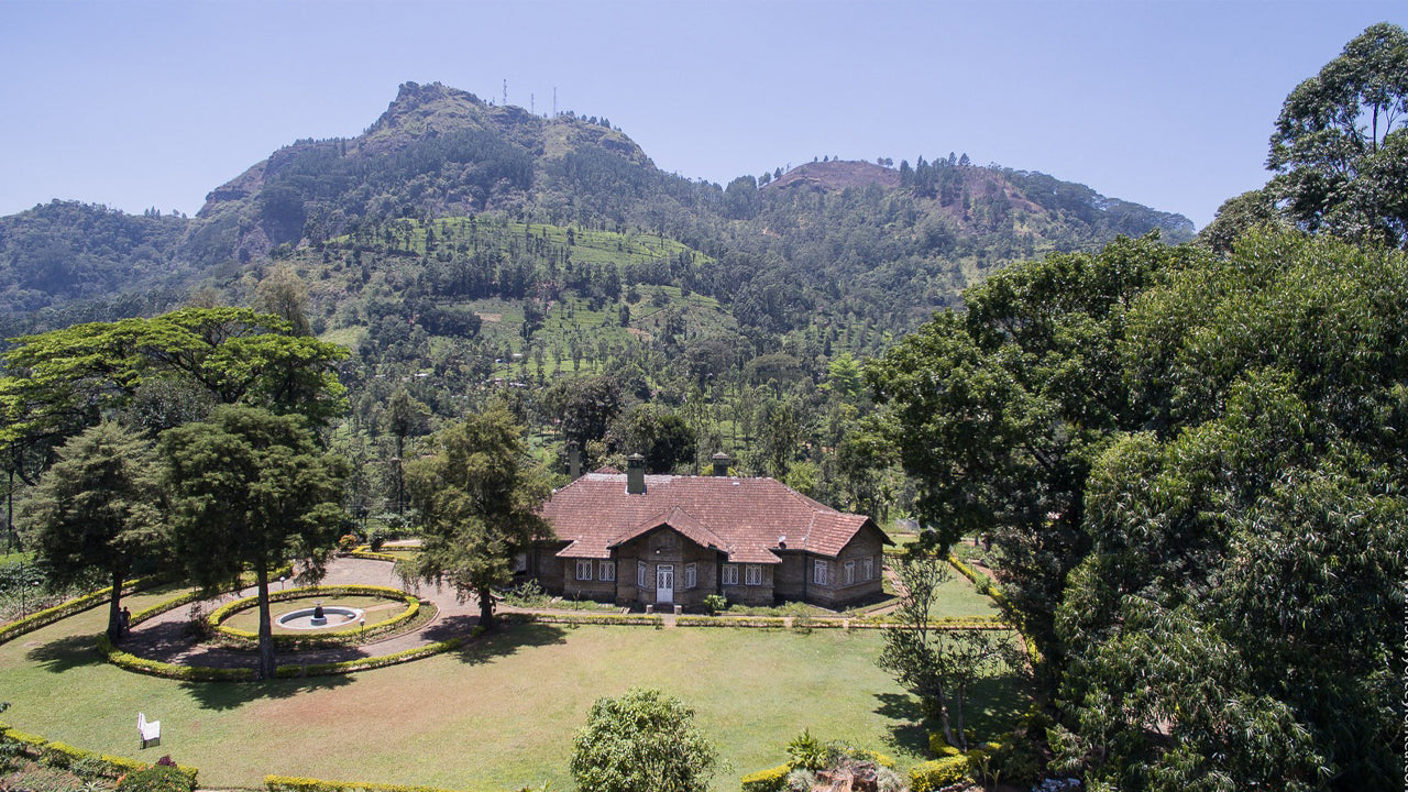 Rothschild Estate Superintendent Bungalow, Pussellawa