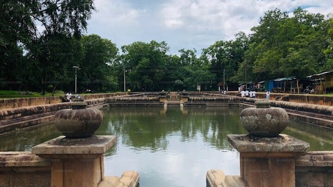 Anuradhapura Sacred Area Guided Tour with Entrance Tickets
