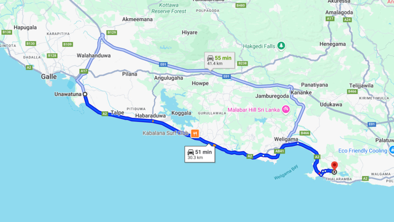 Whale Watching from Unawatuna on Shared Boat