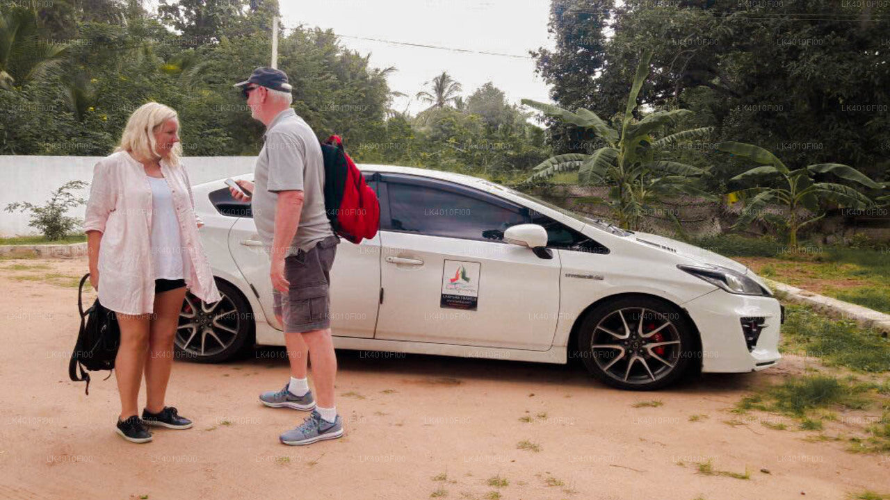 Weerawila City to Colombo City Private Transfer
