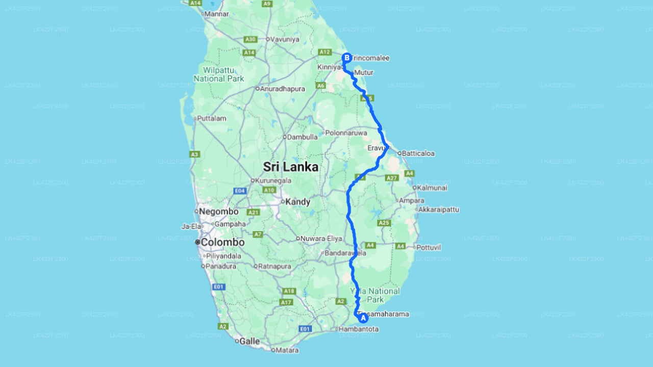 Yala City to Trincomalee City Private Transfer