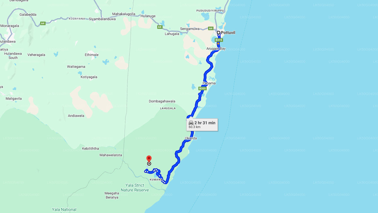 Kumana National Park Private Safari from Pottuvil