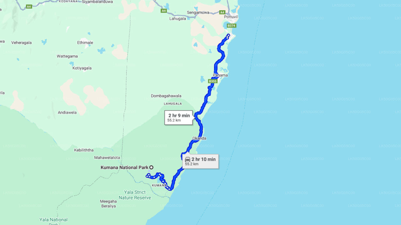 Kumana National Park Safari from Arugam Bay