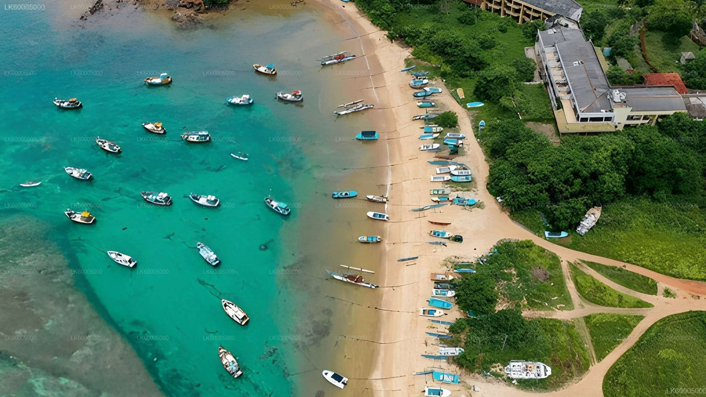 Private Tour from Arugam bay to Weligama with Udawalawe Safari