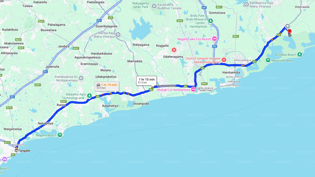 Bundala National Park Safari from Tangalle