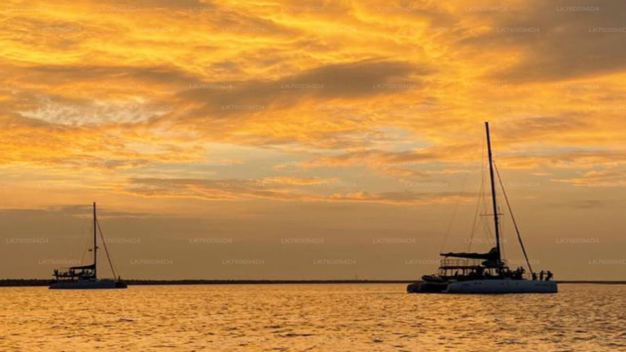 3 hour Private Sunset Cruise from Galle