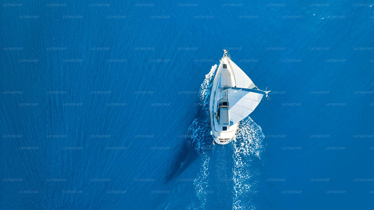 Luxury Sailing Cruise from Colombo