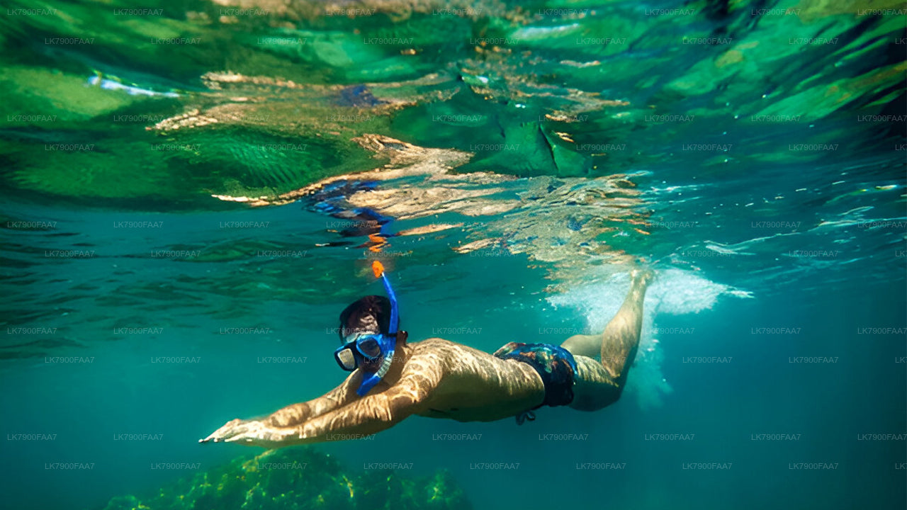 One night cruise on Ocean Diamond from Trincomalee