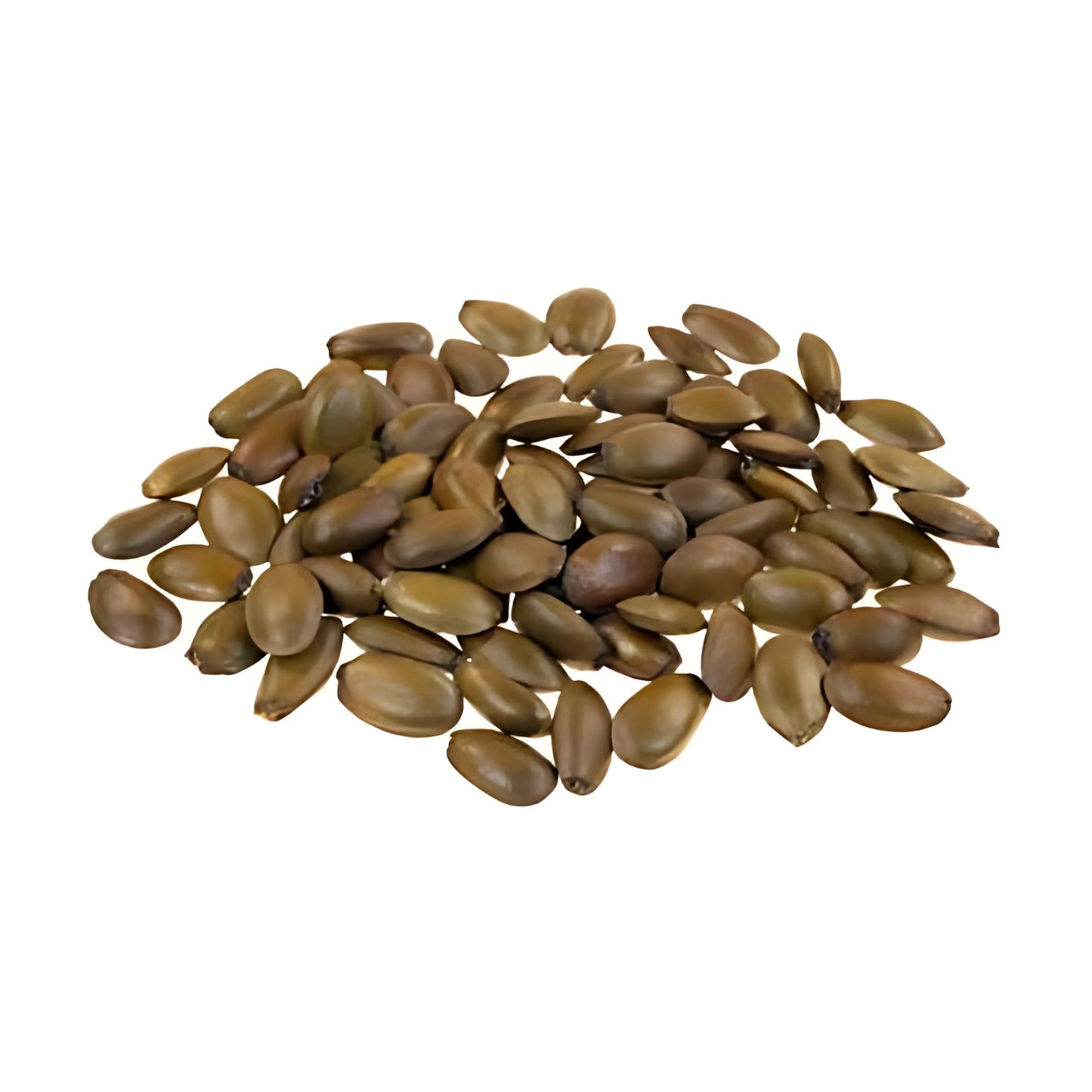 Lakpura® Wildcrafted Soursop Seeds Pack