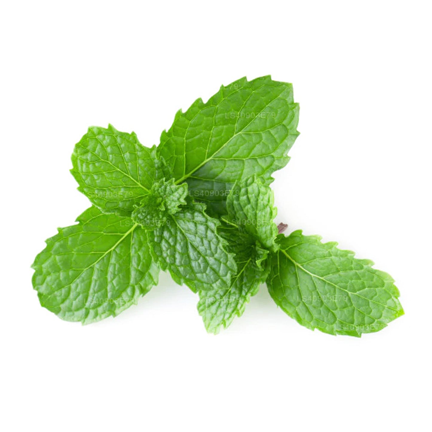 Lakpura® Peppermint Essential Oil (15ml)