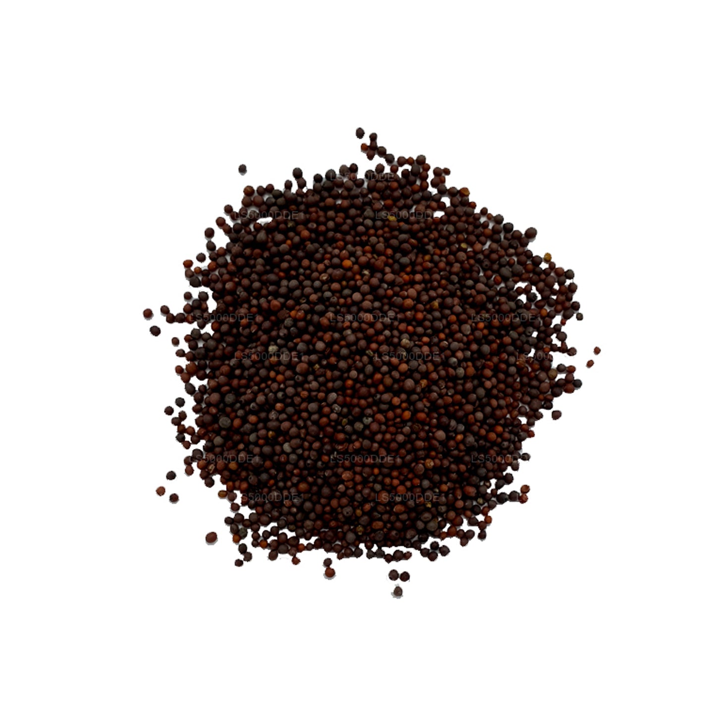 Lakpura Mustard Seeds