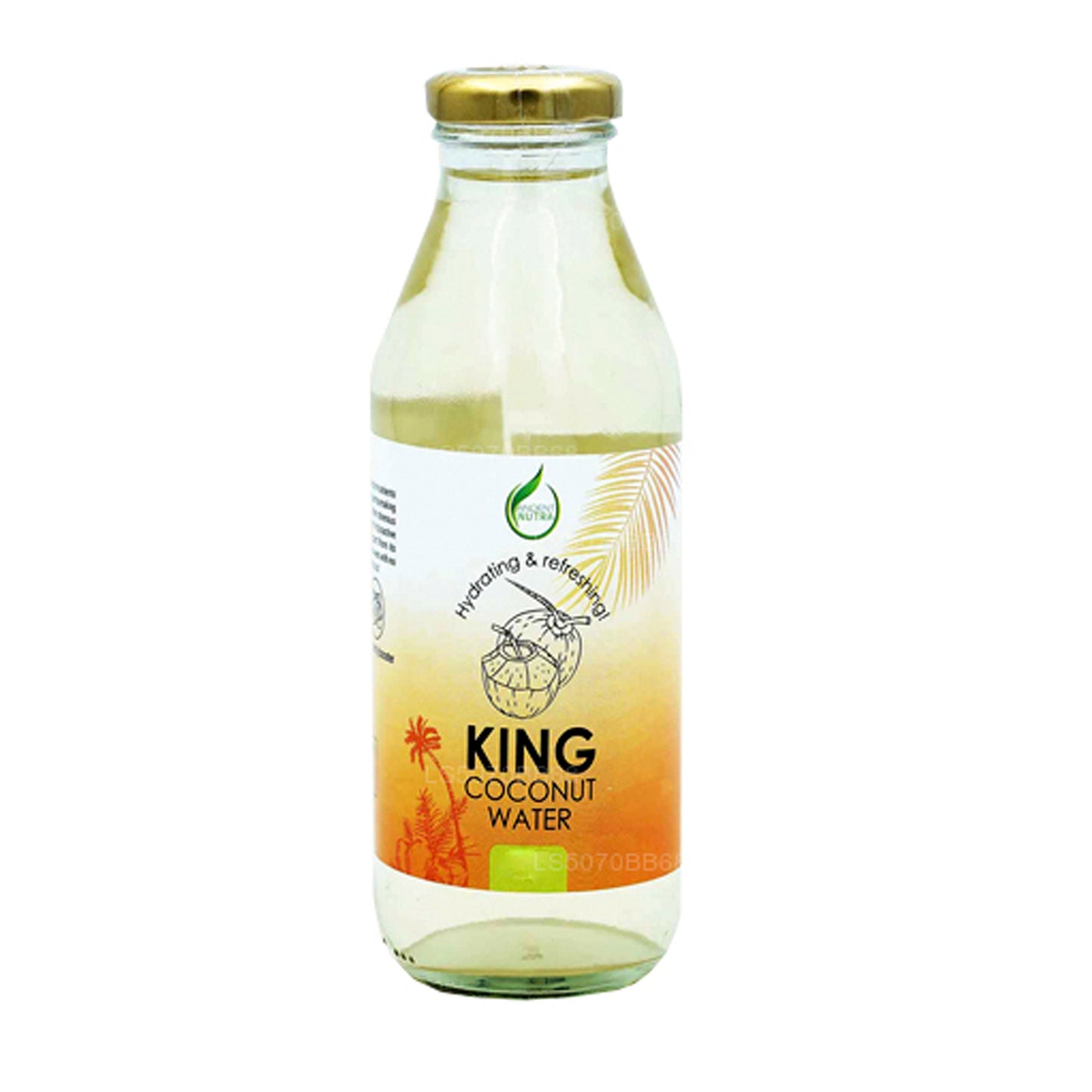 Ancient Nutra King Coconut Water (330ml)