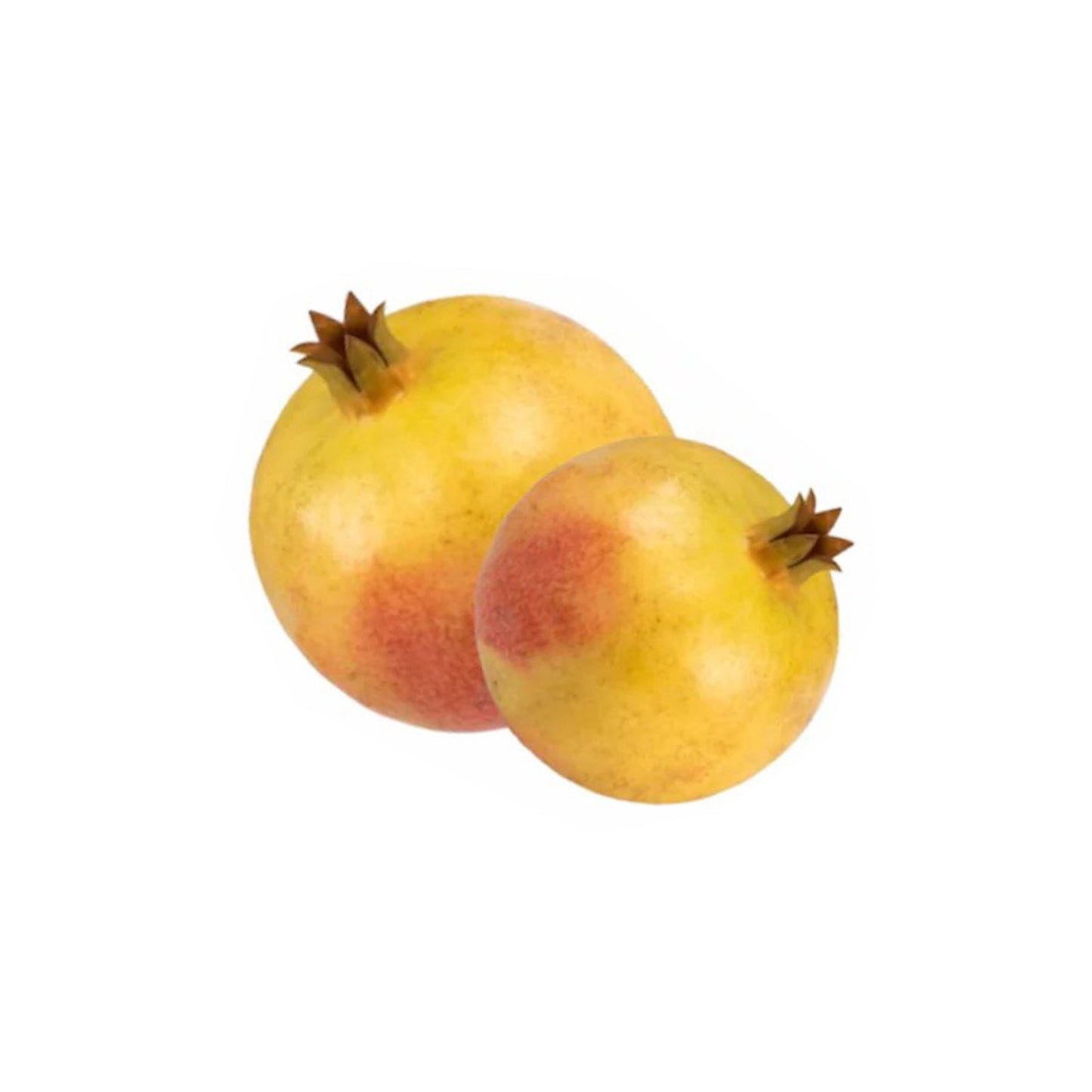 Lakpura® Nimali Pomegranate Plant