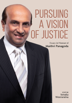 Pursuing a Vision of Justice