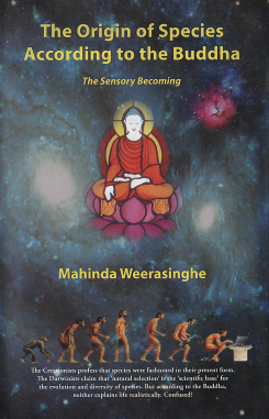 Origin of Species According to the Buddha ( Hardback)