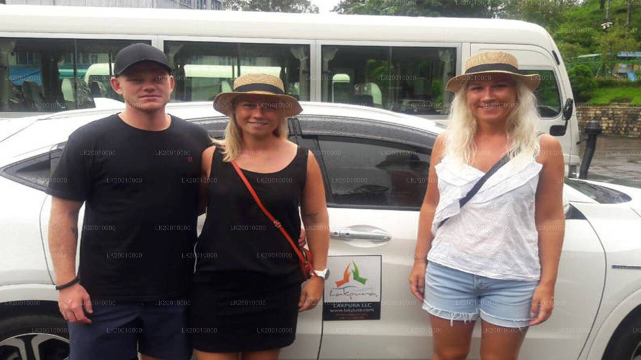 Chauffeur Driven Standard Car Rental