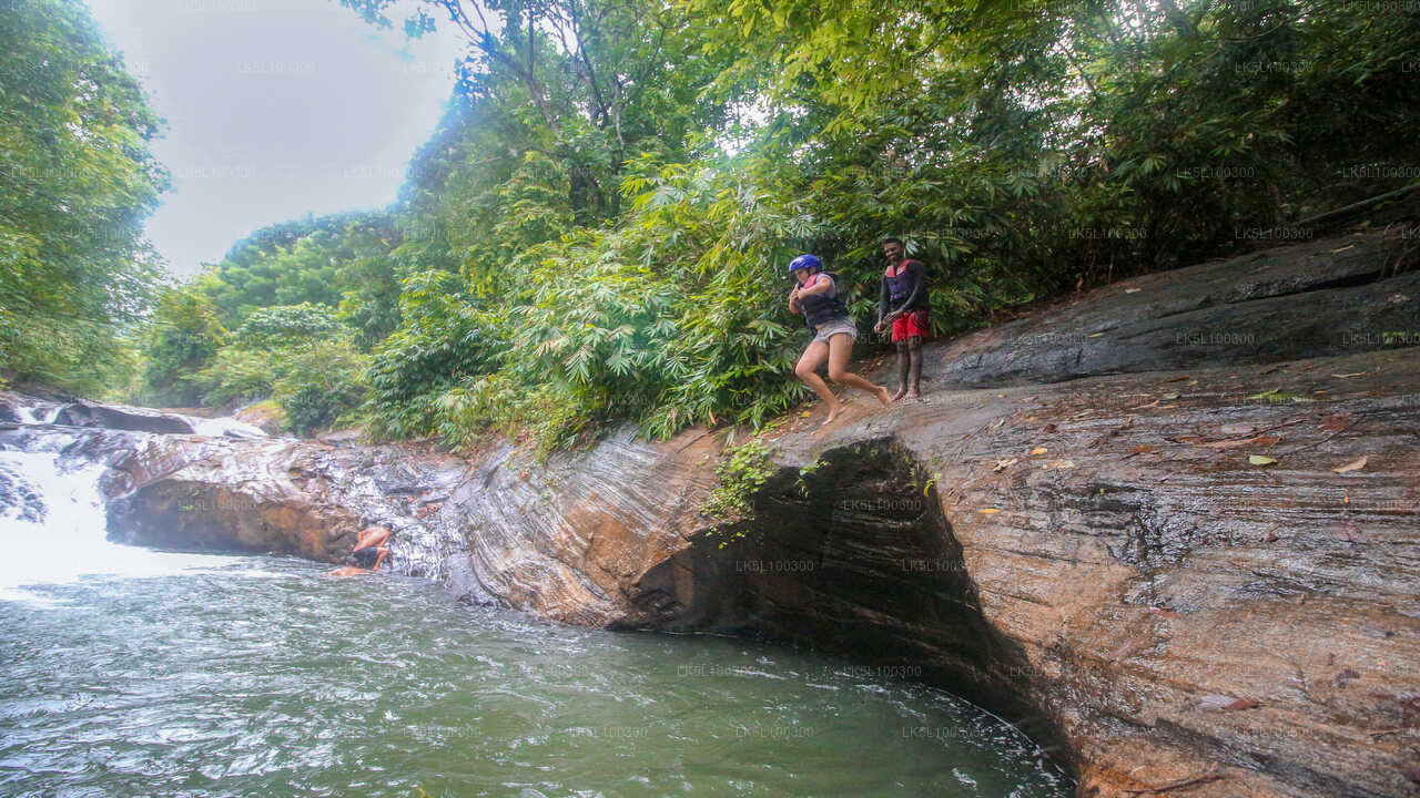 Waterfall Canyoning Adventure from Ella