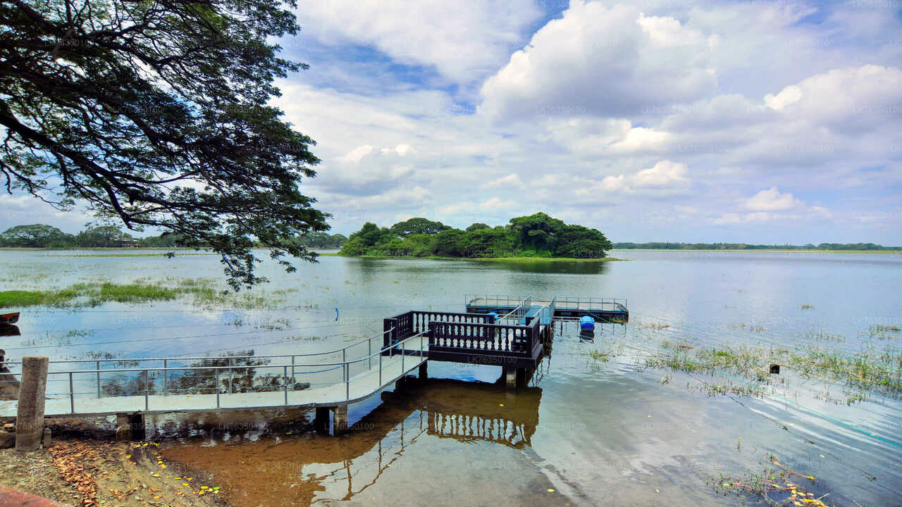 Boat Ride at Tissamaharama Lake