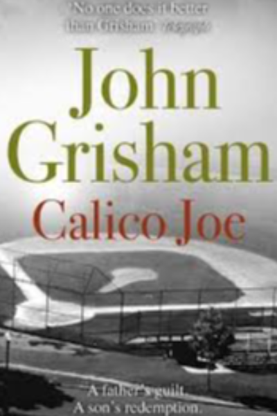 Calico Joe