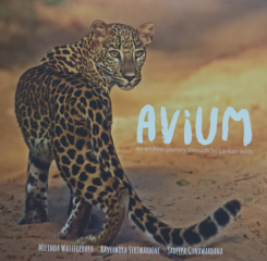 Avium : An Endless Journey Through Sri Lanka Wild