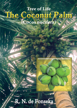 Coconut Palm