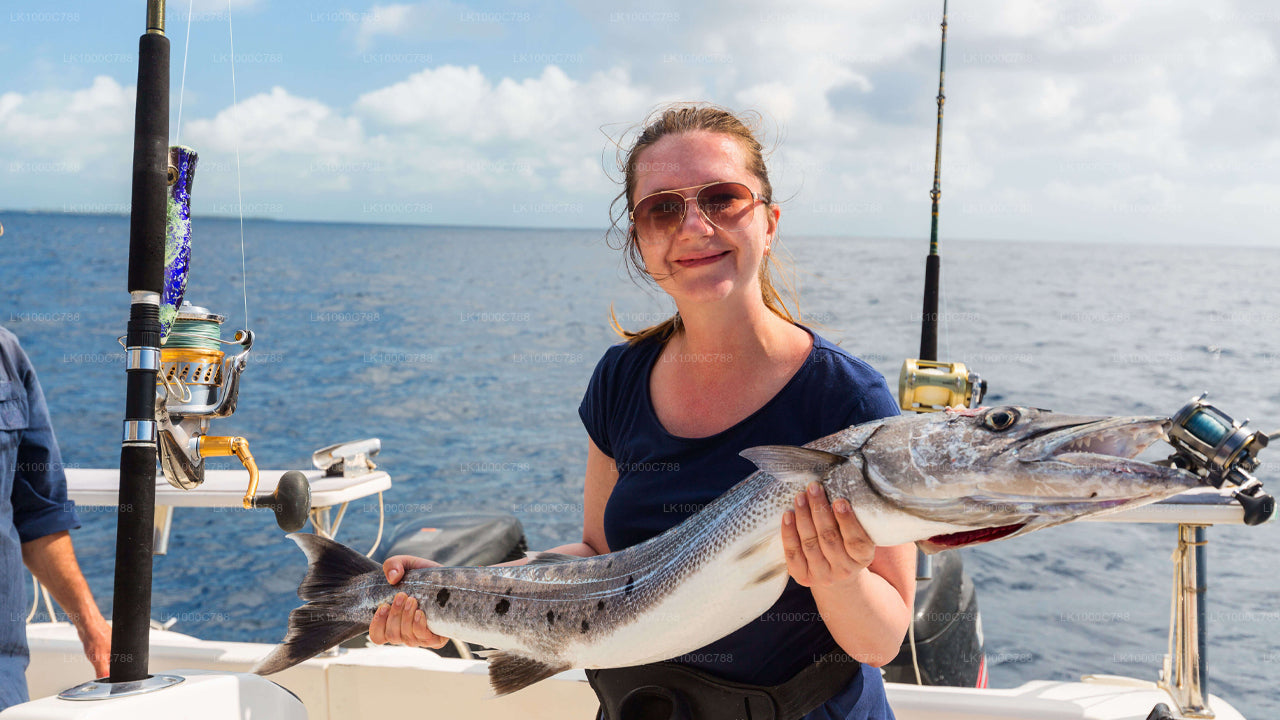 Dolphin Watching, Snorkeling, and Fishing Combined Tour at Trincomalee