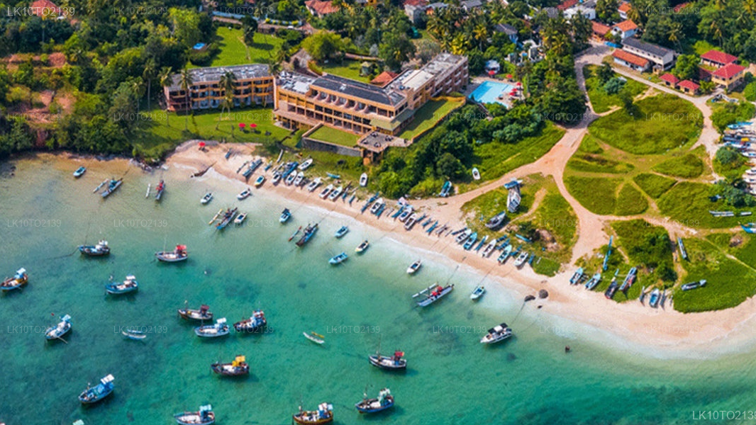 Private Tour from Mirissa to Arugam bay with Yala Safari