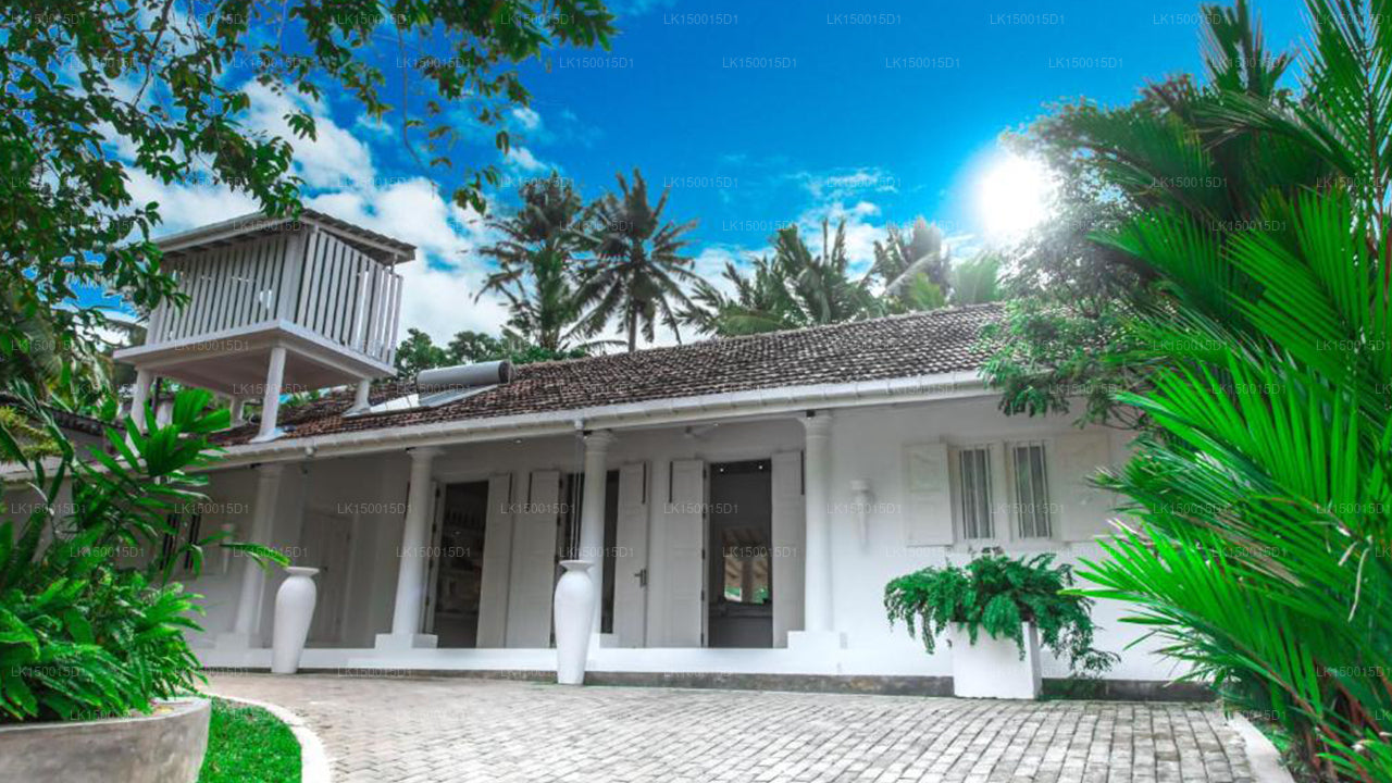 W15 Escape, Ahangama