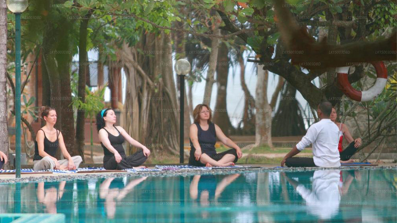 Siddhalepa Ayurveda Health Resort, Wadduwa