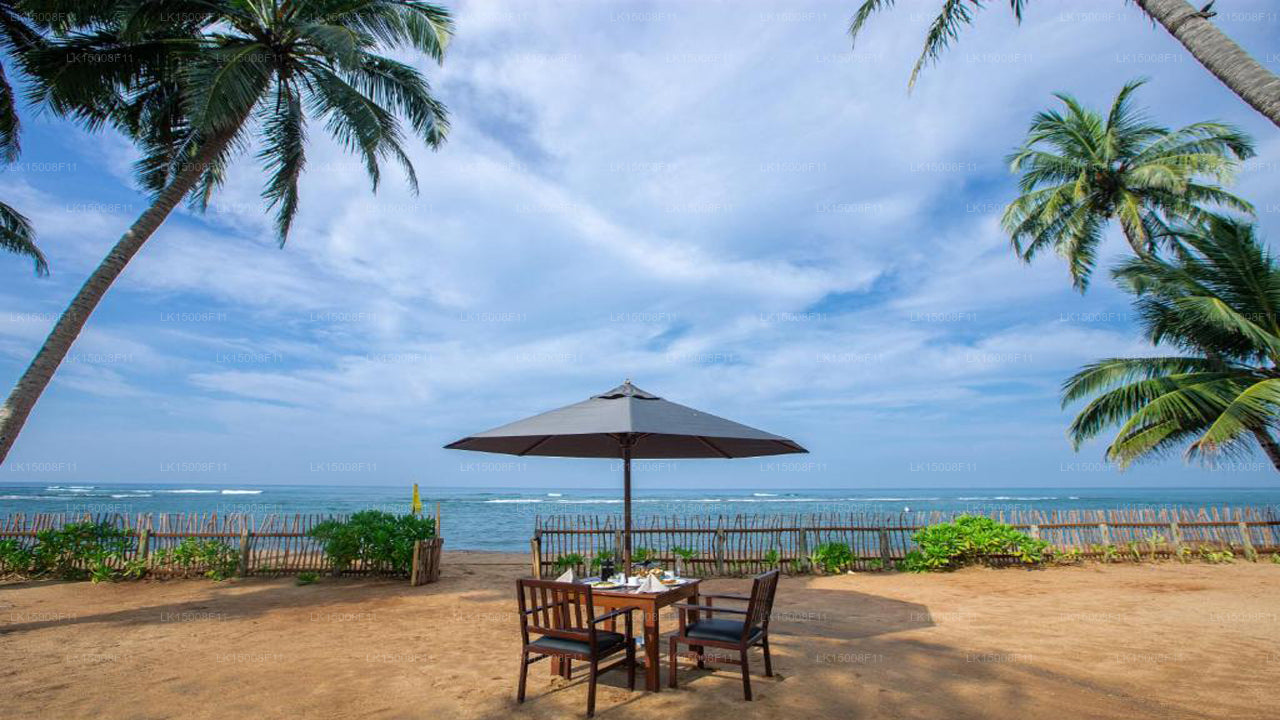 Earl's Reef, Beruwala