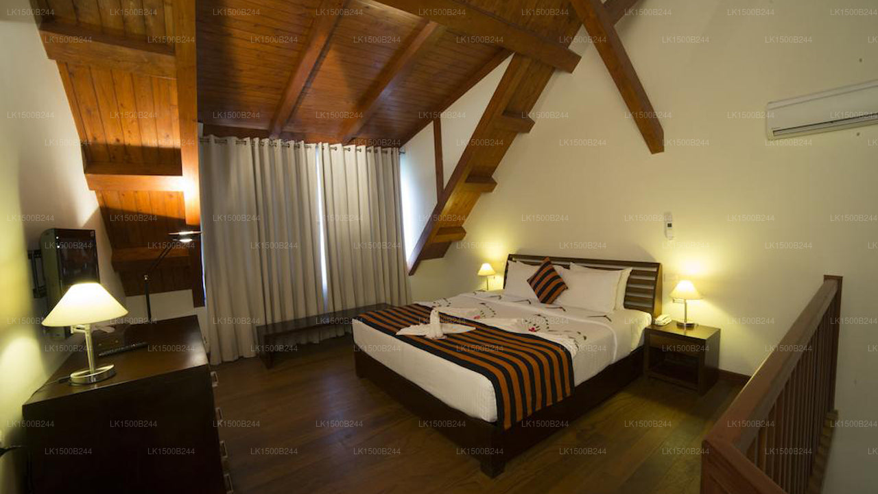 Occidental Paradise, Dambulla