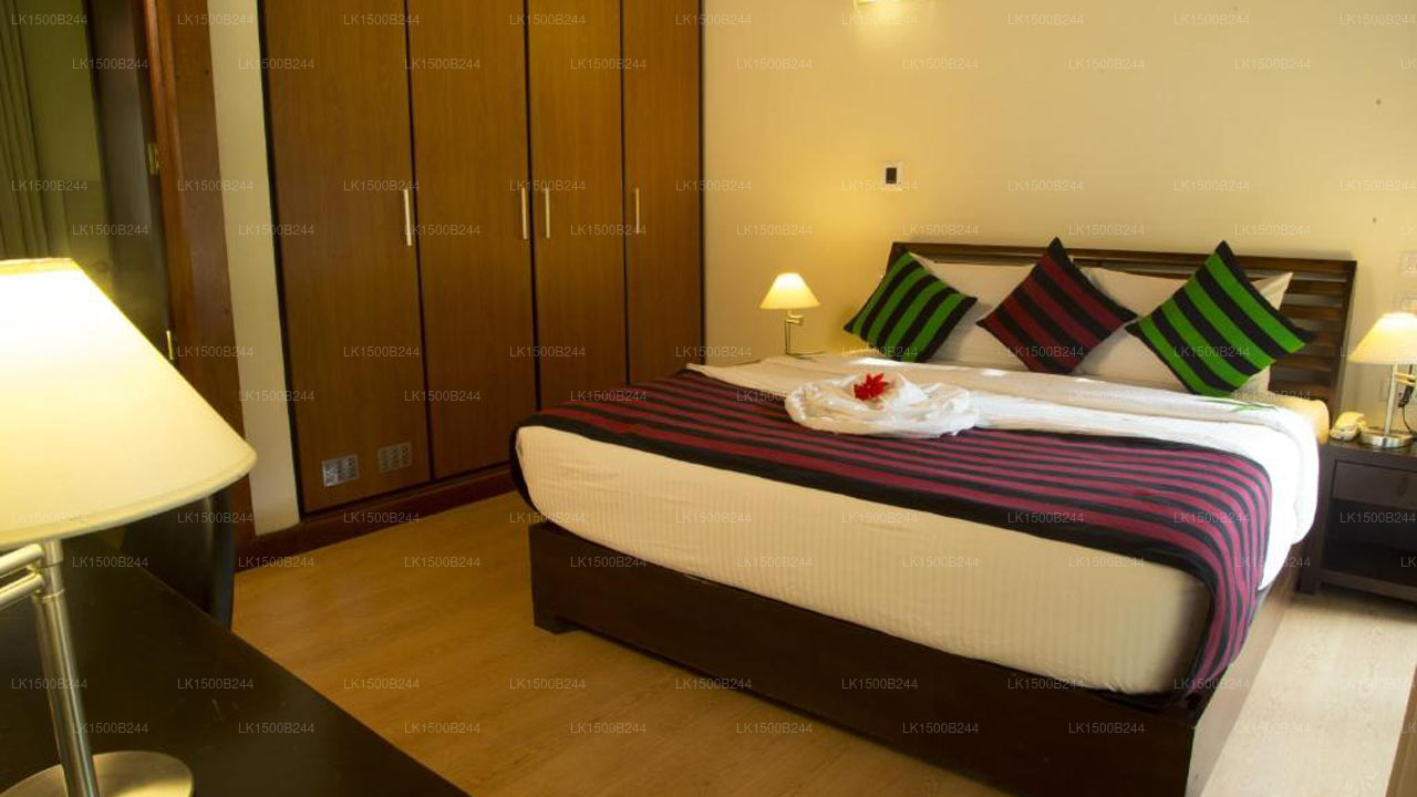 Occidental Paradise, Dambulla