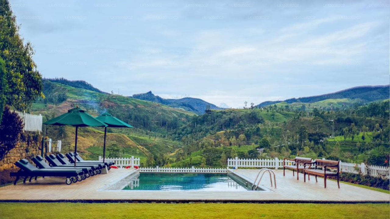 Amaya Langdale, Nuwara Eliya