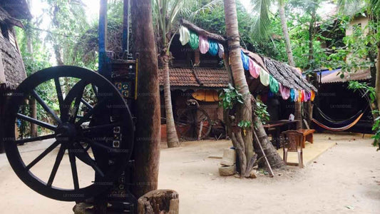 Beach Hut, Arugam Bay