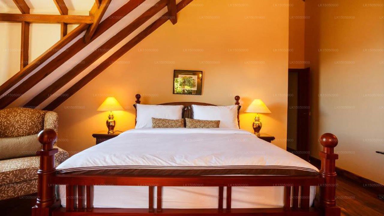 The Dutch House, Bandarawela