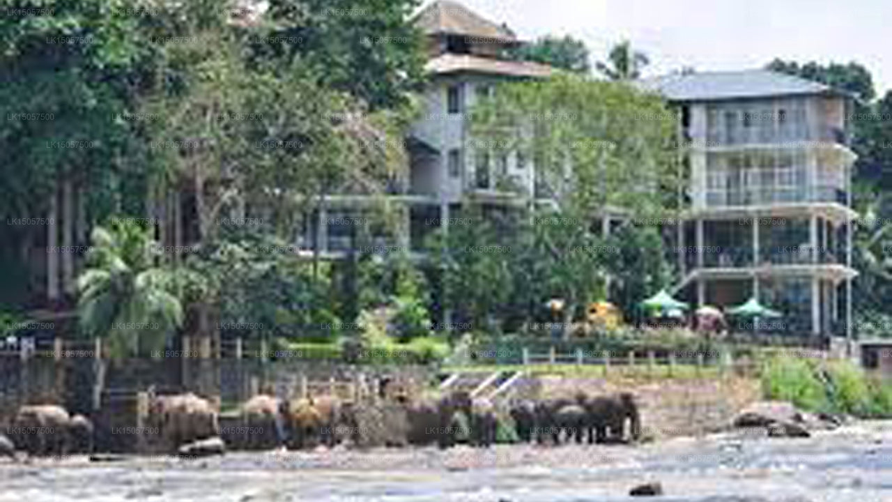 Hotel Elephant Park, Pinnawala