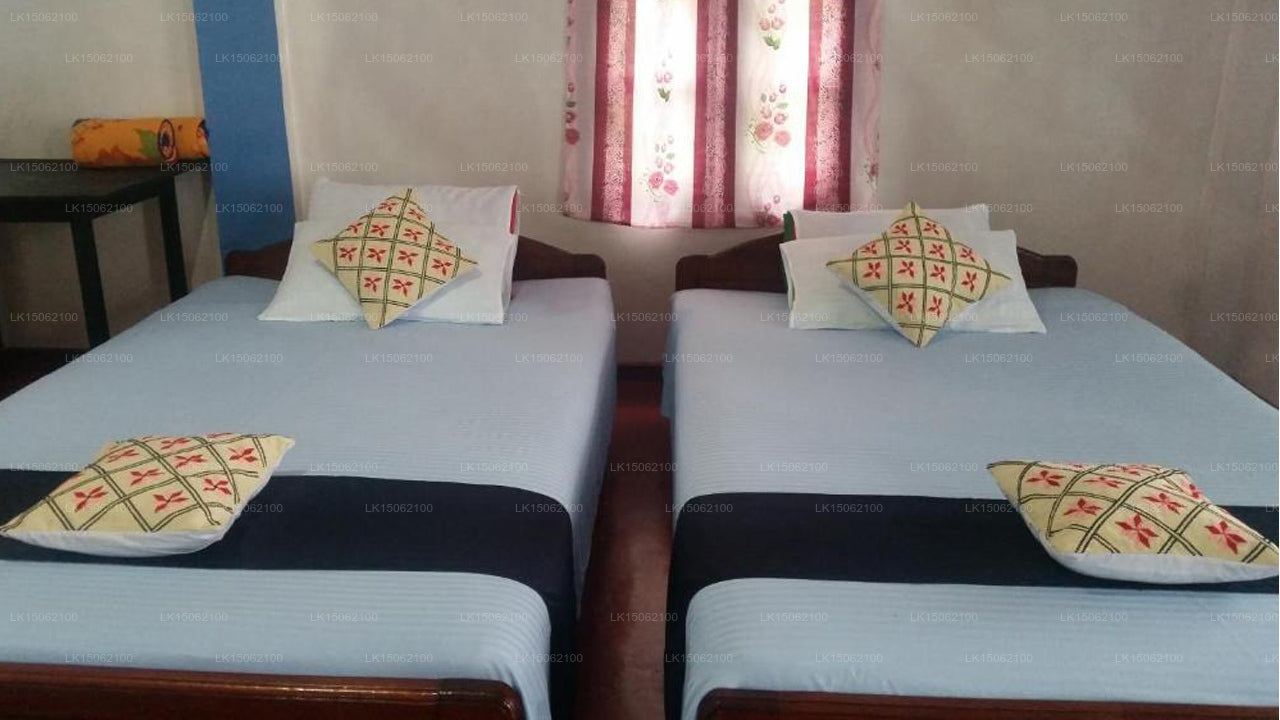 White Monkey - Dias Rest, Haputale