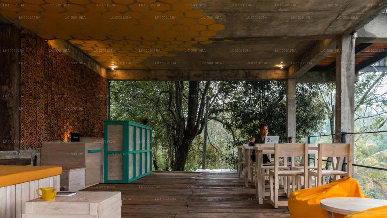 Wild Bee Hostel, Ella