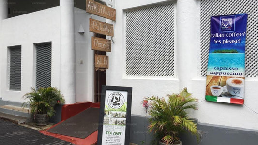 Villa Araliya Fort, Galle