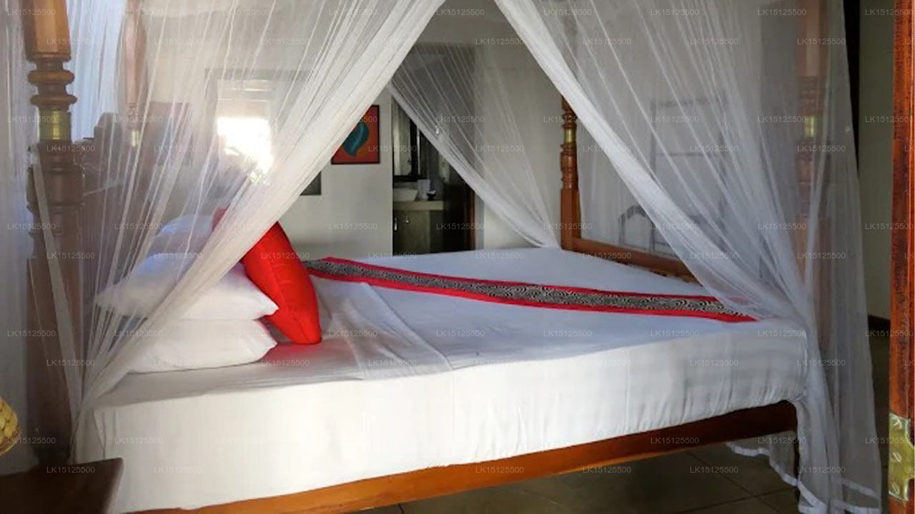 Six Degrees North, Ambalangoda