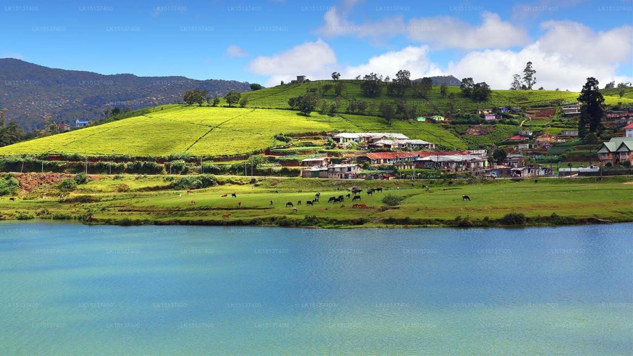 Yenesie Hotel, Nuwara Eliya