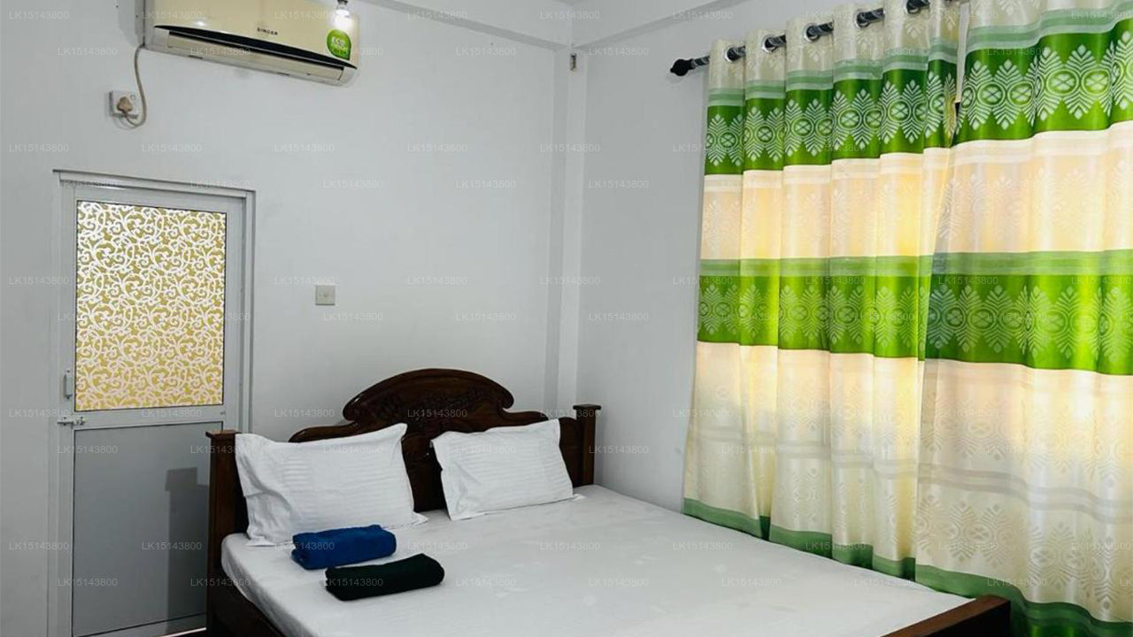 Lavender Lyrics Guest