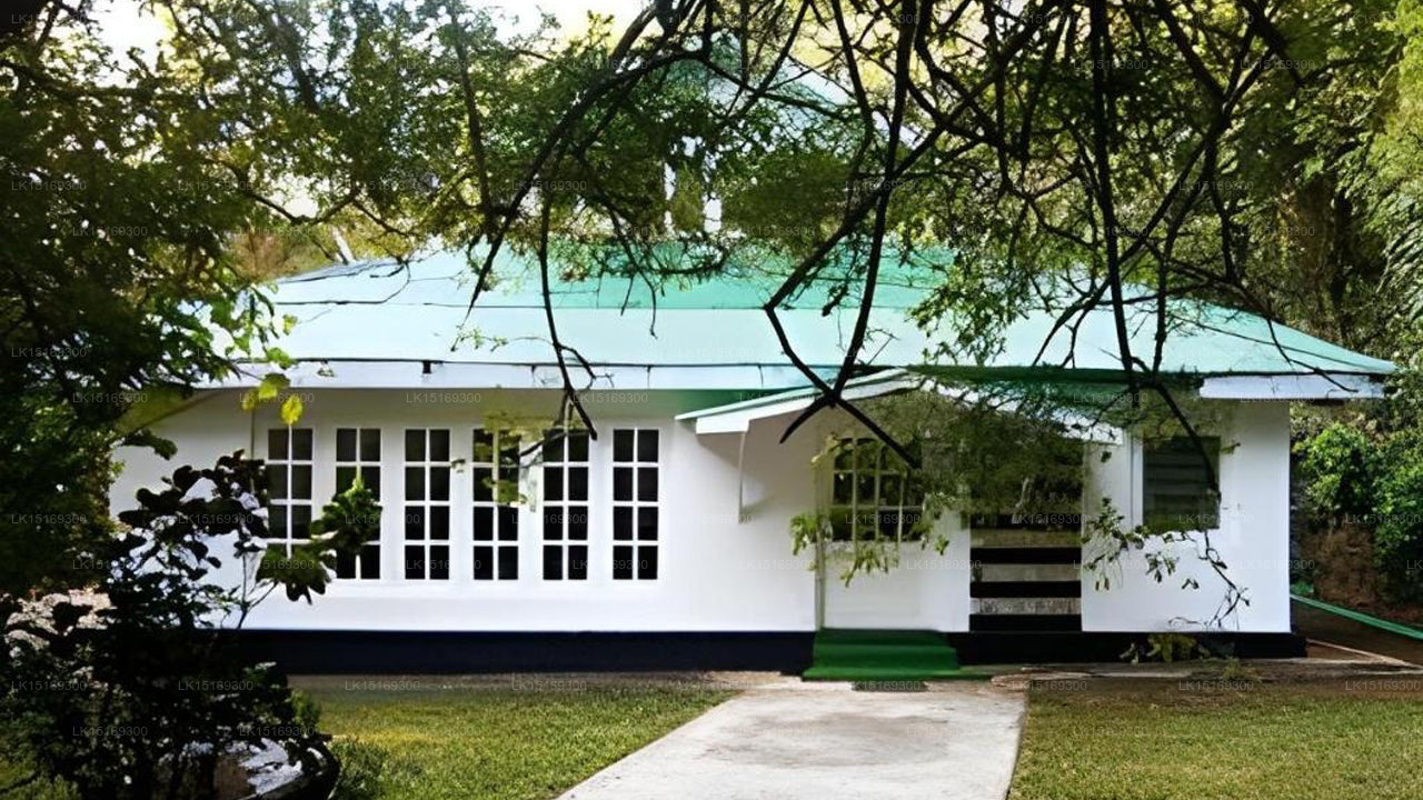 Surrey Bird Sanctuary & Holiday Resort, Welimada