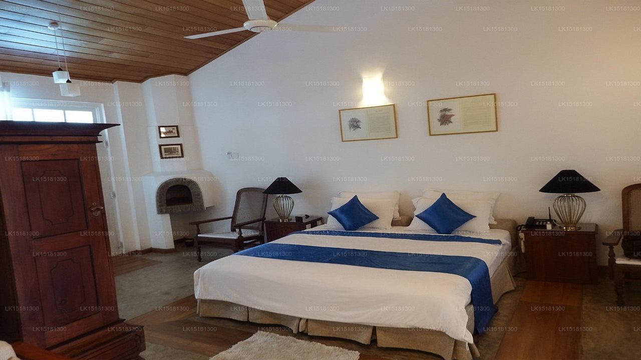 Forest Edge, Kithulgala