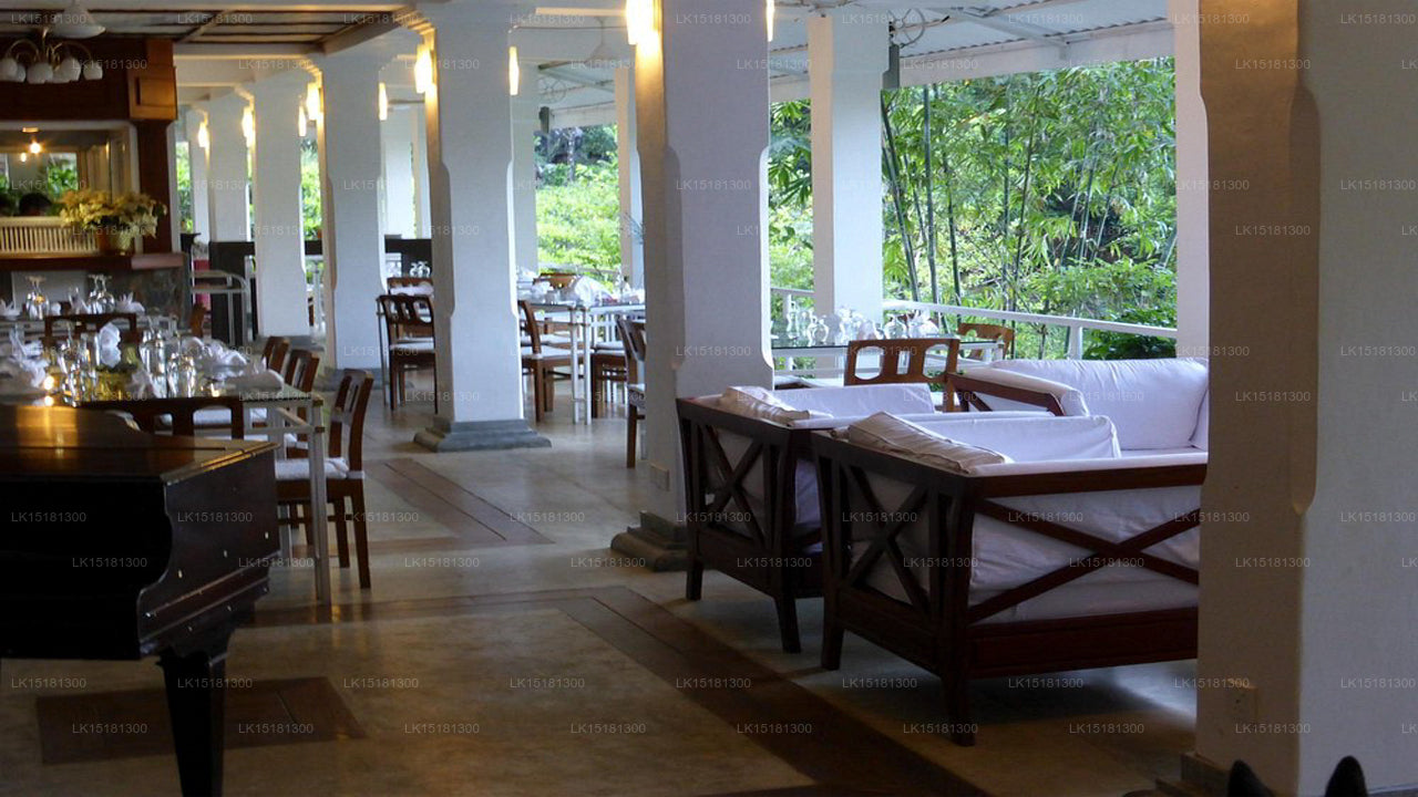 Forest Edge, Kithulgala