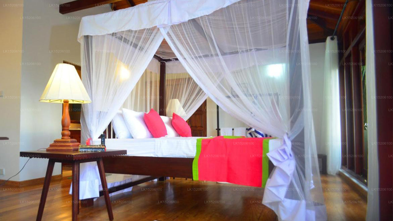 Tropical Retreat, Galle